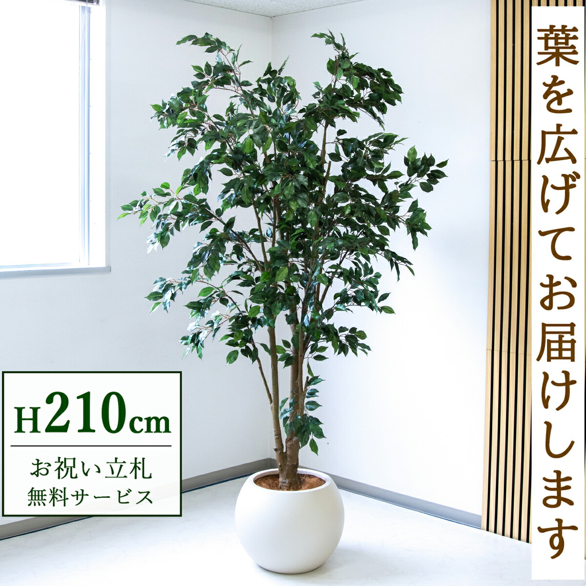 フェイクグリーン 観葉植物 人工観葉植物 フィカス ベンジャミン 大型 210cm 鉢付き / 立札無料 送料無料 法人・開店祝い 店舗・オフィス装飾 空間演出 造花/PG1005-ROM43IV