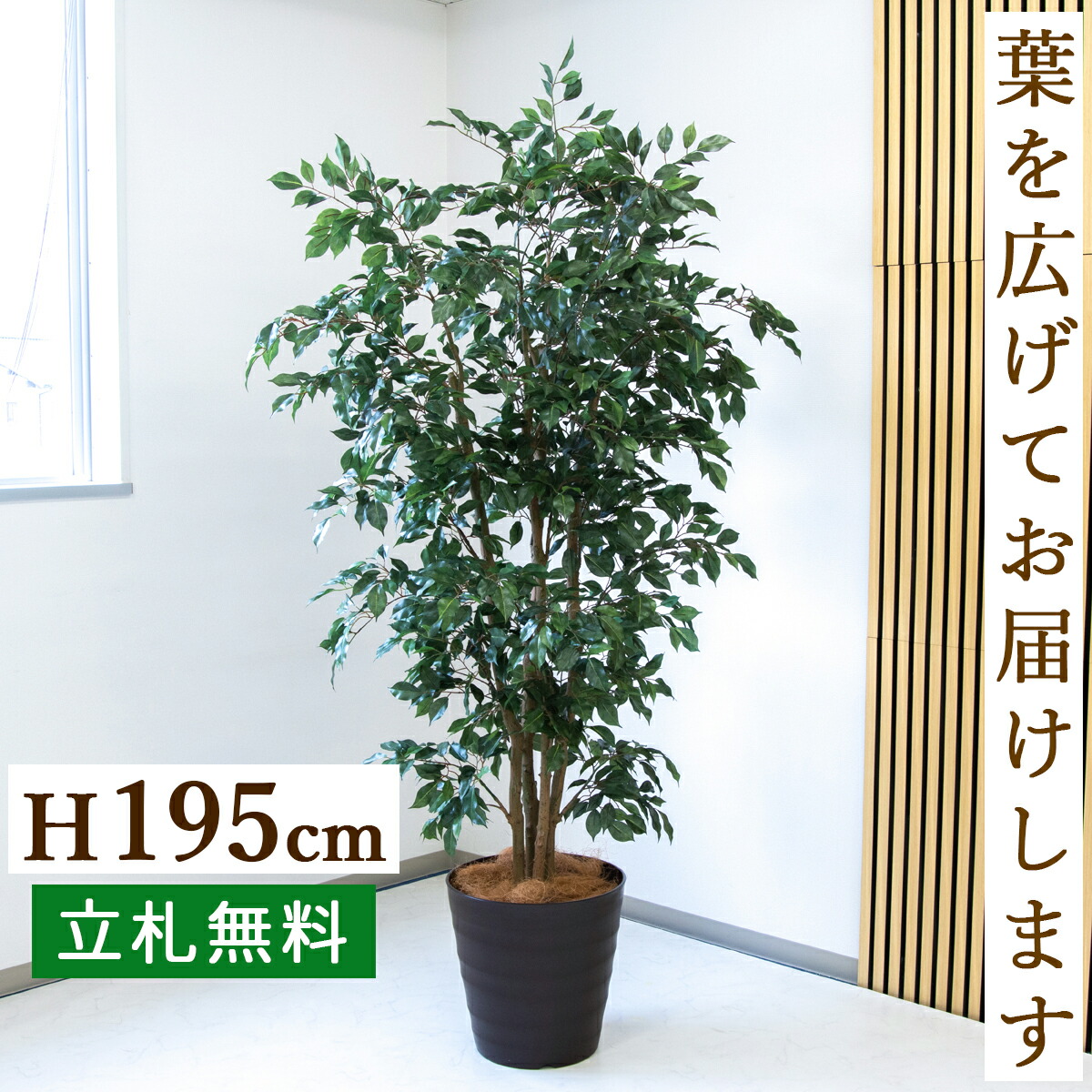 フェイクグリーン 観葉植物 人工観葉植物 フィカス ベンジャミン 大型 195cm 鉢付き / 立札無料 送料無料 法人・開店祝い 店舗・オフィス装飾 空間演出 造花/PG1006-M36DB