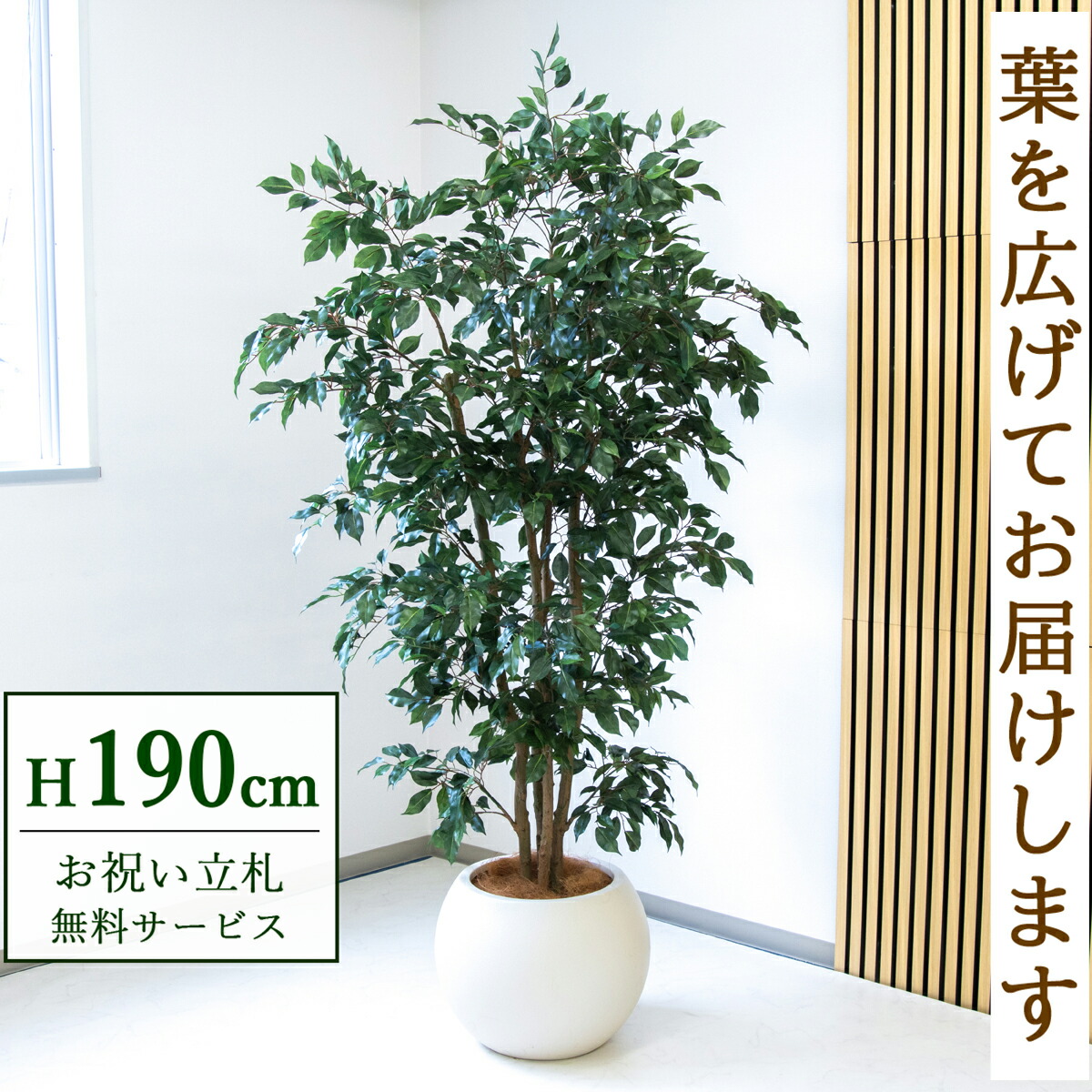 フェイクグリーン 観葉植物 人工観葉植物 フィカス ベンジャミン 大型 190cm 鉢付き / 立札無料 送料無料 法人・開店祝い 店舗・オフィス装飾 空間演出 造花/PG1006-ROM43IV｜造花と人工観葉の店舗装飾 PP-SHOP