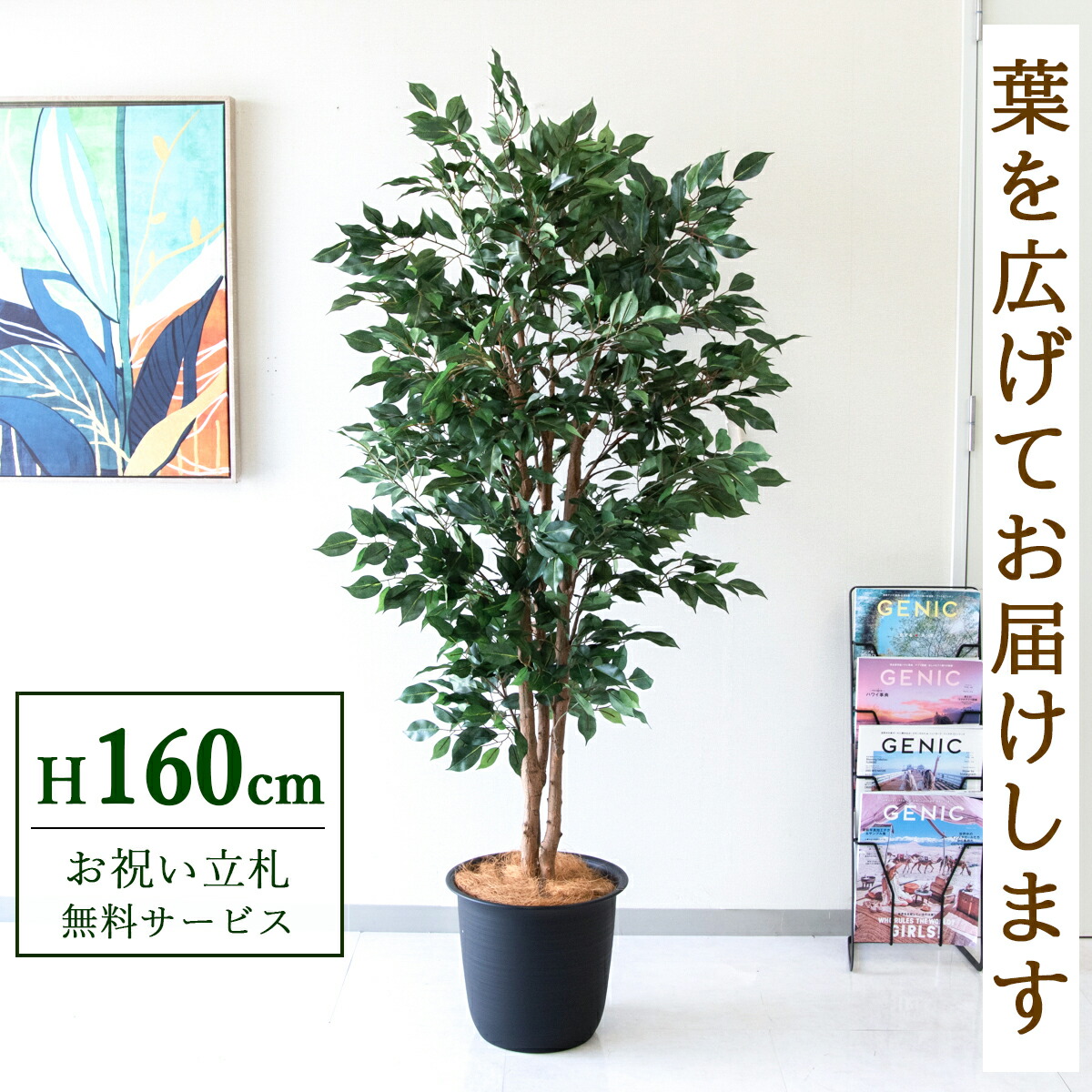 フェイクグリーン 観葉草木 人工観葉草木 フィカス ベンジャミン  160糎  鉢付き添い人 / ★立札無料★ 法人・開店祝賀会 バス発着場・執務室かざり付ける 位相空間公演 造花/PG1007-ABY31BK