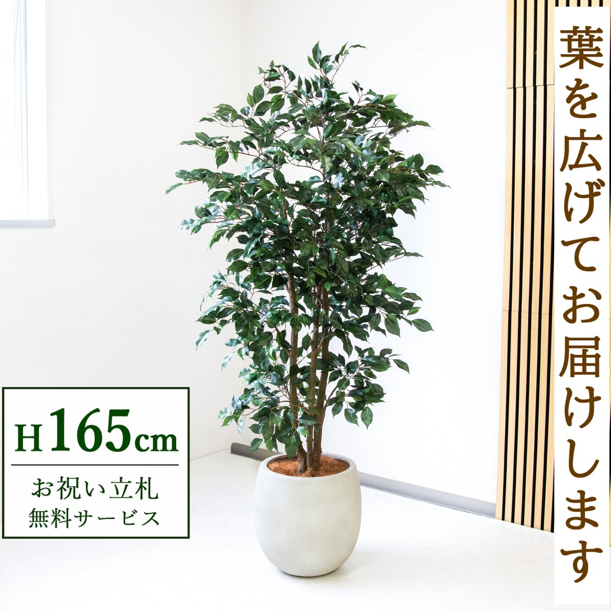 フェイクグリーン 観葉植物 人工観葉植物 フィカス ベンジャミン 165cm 鉢付き / 立札無料 送料無料 法人・開店祝い 店舗・オフィス装飾 空間演出 造花/PG1007-BAL35IV
