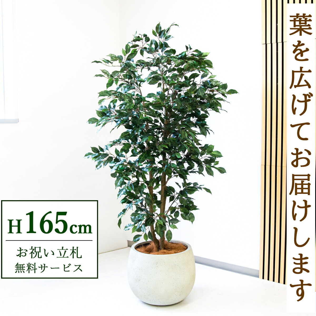 フェイクグリーン 観葉植物 人工観葉植物 フィカス ベンジャミン 165cm 鉢付き / 立札無料 送料無料 法人・開店祝い 店舗・オフィス装飾 空間演出 造花/PG1007-D42IV