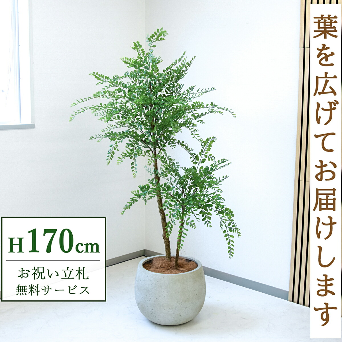 フェイクグリーン 観葉植物 人工観葉植物 トネリコ 大型 170cm 鉢付き / 立札無料 送料無料 法人・開店祝い 店舗・オフィス装飾 空間演出 造花/PG1013-D42IV