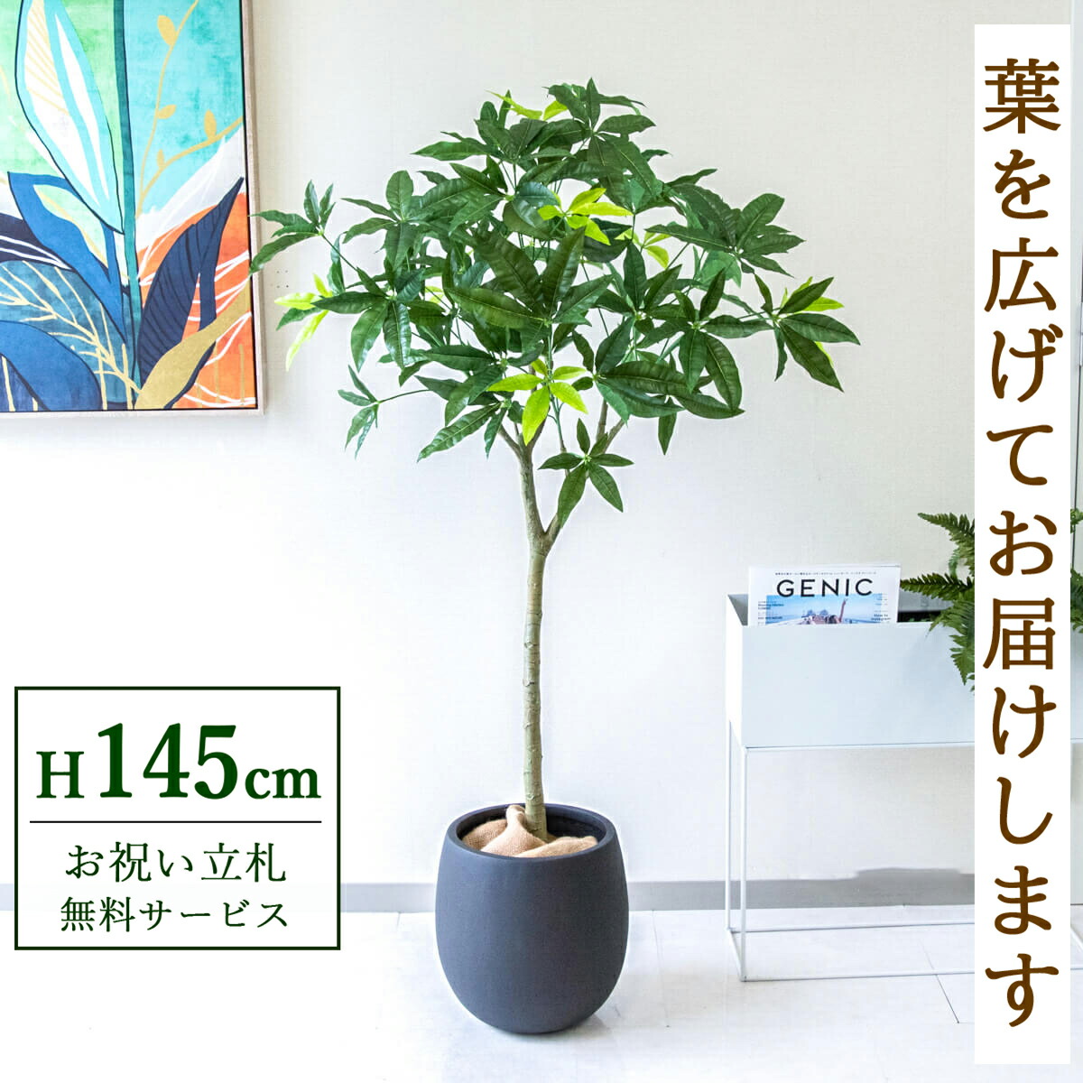 フェイクグリーン 観葉植物 人工観葉植物 パキラ 145cm 鉢付き / 立札無料 送料無料 法人・開店祝い 店舗・オフィス装飾 空間演出 造花/PG205-BAL30BK
