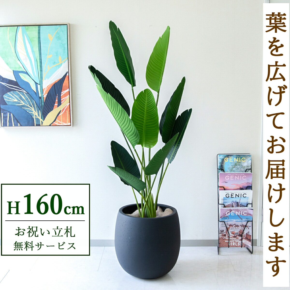 フェイクグリーン 観葉植物 人工観葉植物 オーガスタ 160cm 鉢付き / 立札無料 送料無料 法人・開店祝い 店舗・オフィス装飾 空間演出 造花/PG208-BAL42BK|造花と人工観葉の店舗装飾 PP-SHOP