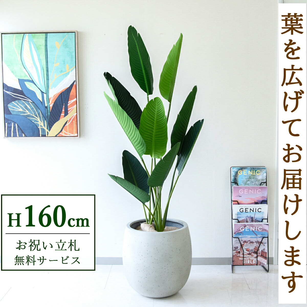 フェイクグリーン 観葉植物 人工観葉植物 オーガスタ 160cm 鉢付き / 立札無料 送料無料 法人・開店祝い 店舗・オフィス装飾 空間演出 造花/PG208-BAL42IV|造花と人工観葉の店舗装飾 PP-SHOP