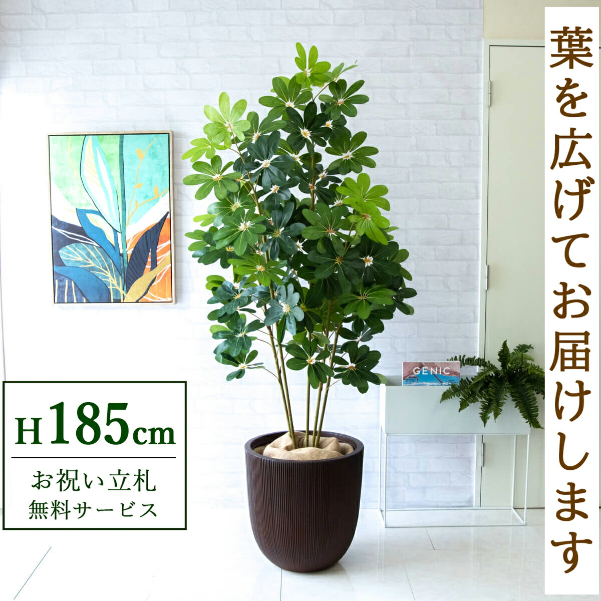 値下げ中！【美品】フェイクグリーン 人工観葉植物 約70cm鉢植 楽天市場】フェイクグリーン オーガスタ H約180cm 鉢付き / 人工