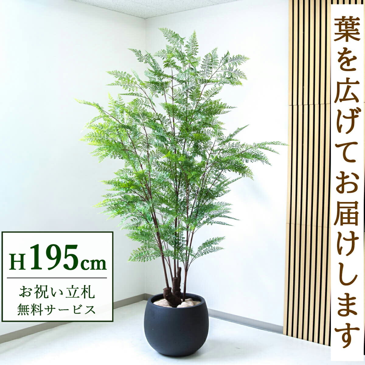 フェイクグリーン 観葉草木 人工観葉草木 ファーン 大型 195糎 鉢付き添い人 / 立札無料 貨物輸送無料 法人・開店祝い事 バス発着場・事務室かざり付ける 位相空間監督 造花/PG233-D42BK