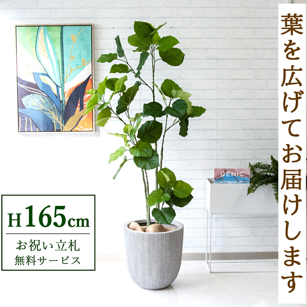 フェイクグリーン 観葉植物 人工観葉植物 フィカス ウンベラータ 165cm 鉢付き / 立札無料 送料無料 法人・開店祝い 店舗・オフィス装飾 空間演出 造花/PG237-FRA37WH