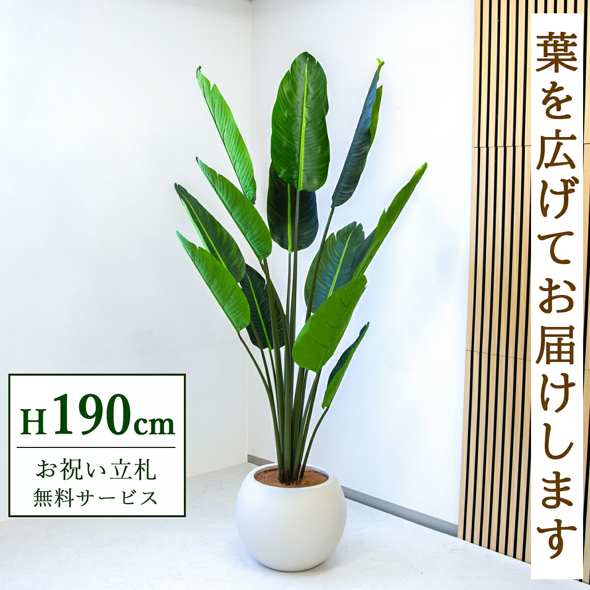 フェイクグリーン 観葉植物 人工観葉植物 オーガスタ 大型 190cm 鉢付き / ★立札無料★ 法人・開店祝い 店舗・オフィス装飾 空間演出 造花/PG238-ROM43IV｜造花と人工観葉の店舗装飾 PP-SHOP