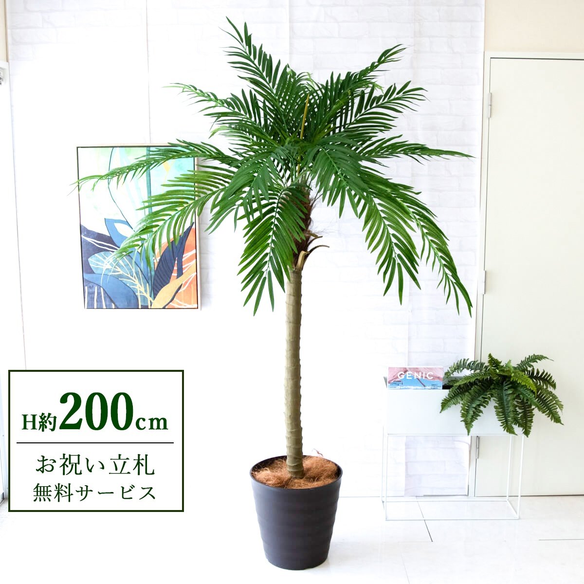 フェイクグリーン 観葉植物 人工観葉植物 フェニックス パームツリー ヤシの木 大型 200cm 2分割 鉢付き / 立札無料 送料無料 法人・開店祝い 店舗・オフィス装飾 空間演出 造花/PG248-M36DB｜造花と人工観葉の店舗装飾 PP-SHOP