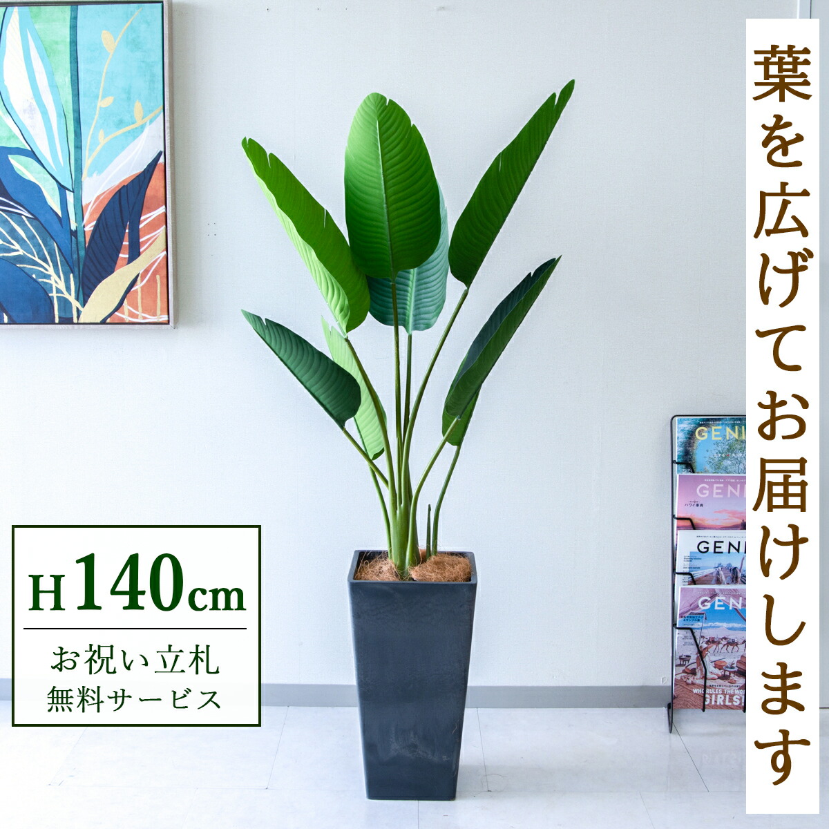 フェイクグリーン 観葉草木 人工観葉草木 オーガスタ  140珊  鉢付き添い人 / ★立札無料★ 法人・開店祝賀会 バス発着場・事務室かざり付ける あき場所上演 造花/PG252-Q25BK