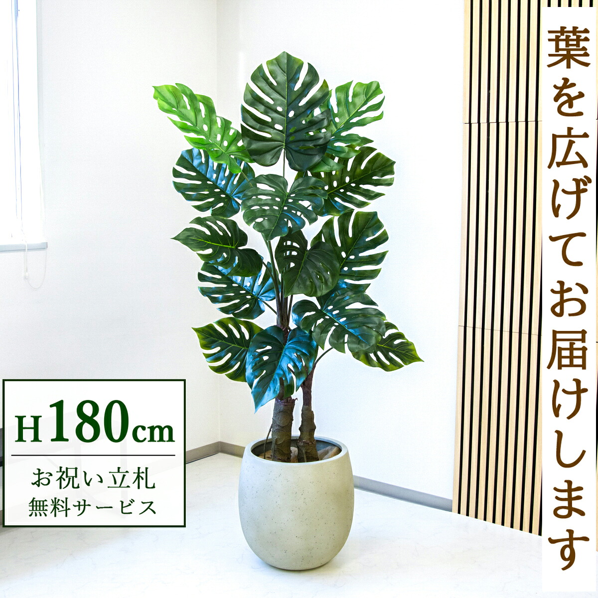 フェイクグリーン 観葉植物 人工観葉植物 モンステラ 大型 180cm 鉢付き / 立札無料 送料無料 法人・開店祝い 店舗・オフィス装飾 空間演出 造花/PG259-BAL42IV|造花と人工観葉の店舗装飾 PP-SHOP