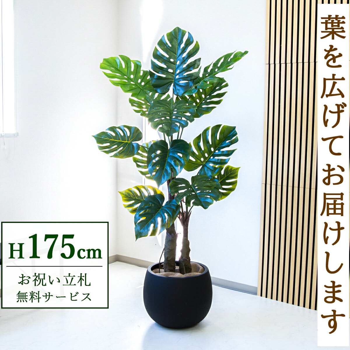 フェイクグリーン 観葉植物 人工観葉植物 モンステラ 大型 175cm 鉢付き / 立札無料 送料無料 法人・開店祝い 店舗・オフィス装飾 空間演出 造花/PG259-D42BK｜造花と人工観葉の店舗装飾 PP-SHOP
