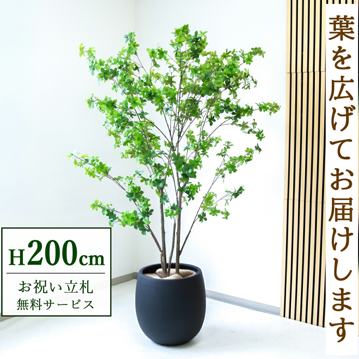楽天市場】zfk-3 人工観葉植物 ドウダンツツジ鉢植え1.4m フェイク