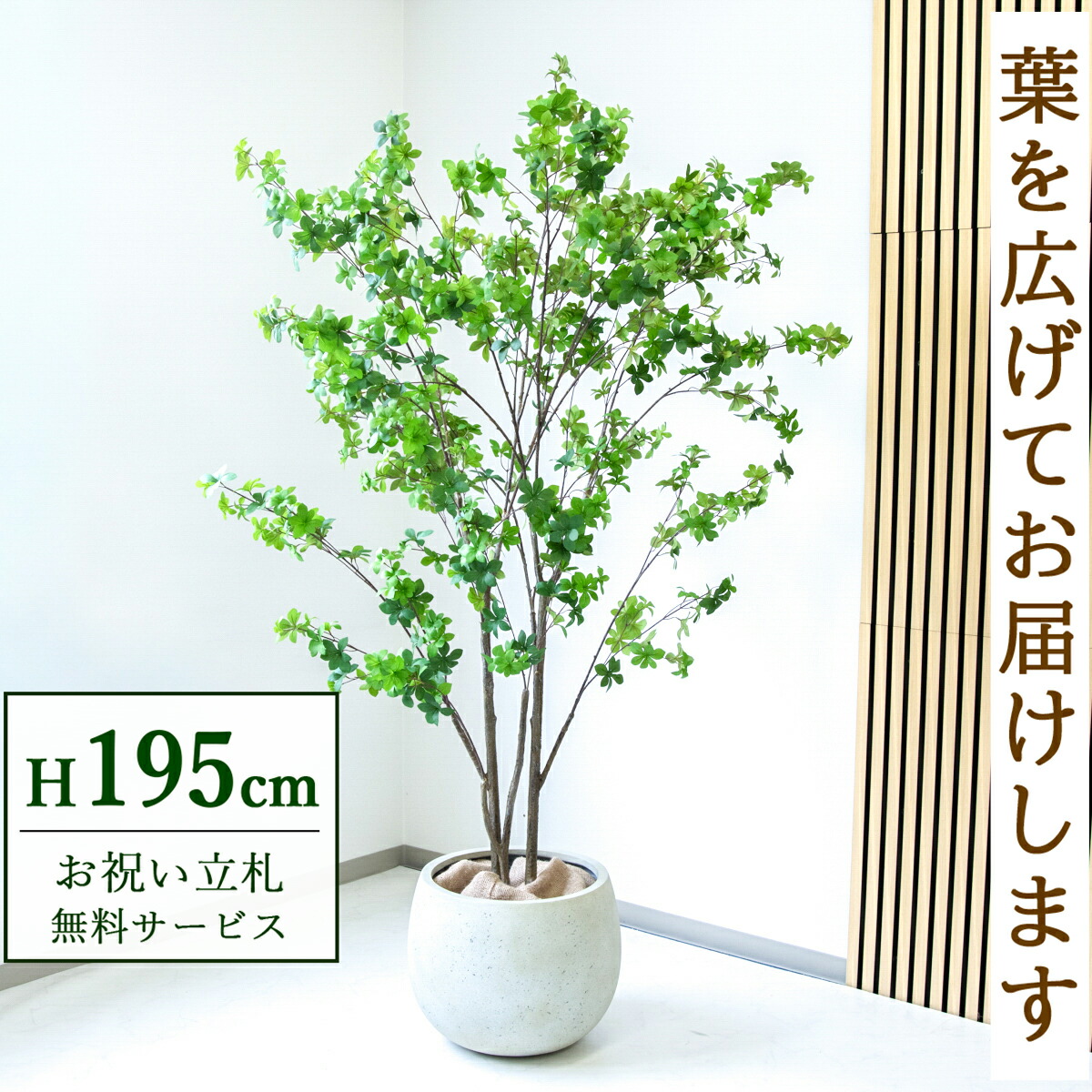 楽天市場】zfk-3 人工観葉植物 ドウダンツツジ鉢植え1.4m フェイク