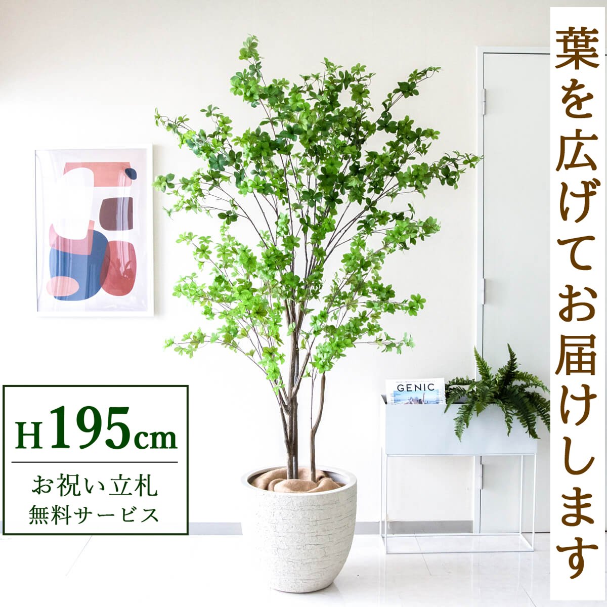 フェイクグリーン 観葉植物 人工観葉植物 ドウダンツツジ 大型 195cm 鉢付き / 立札無料 送料無料 法人・開店祝い 店舗・オフィス装飾 空間演出 造花/PG261-GIG42IV｜造花と人工観葉の店舗装飾 PP-SHOP