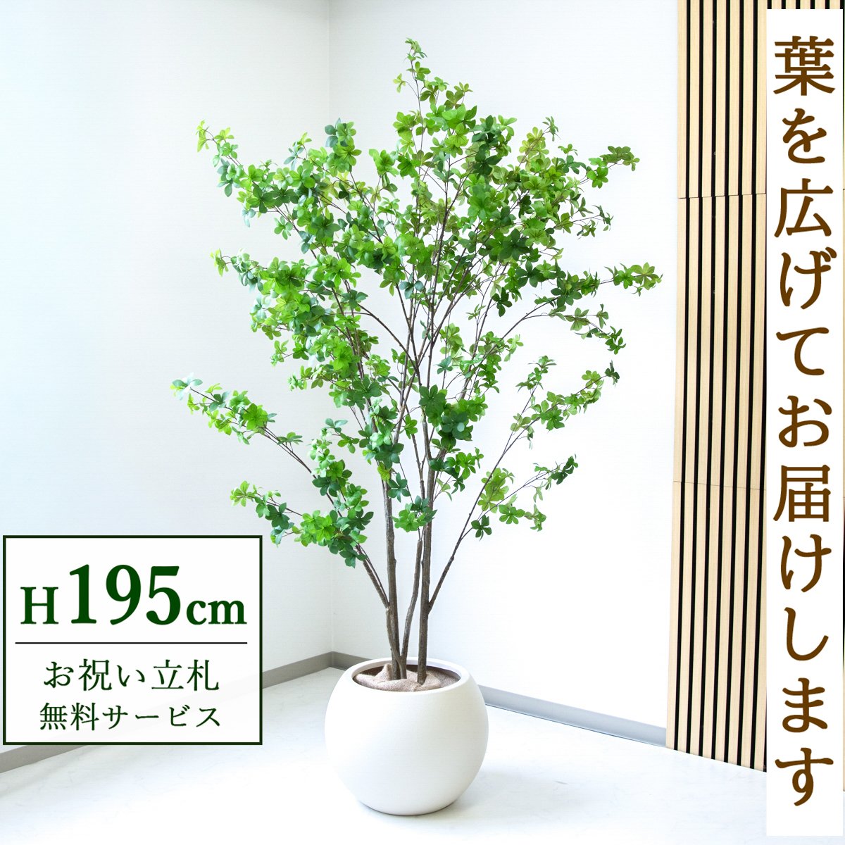 フェイクグリーン 観葉植物 人工観葉植物 ドウダンツツジ 大型 195cm 鉢付き / 立札無料 送料無料 法人・開店祝い 店舗・オフィス装飾 空間演出 造花/PG261-ROM43IV