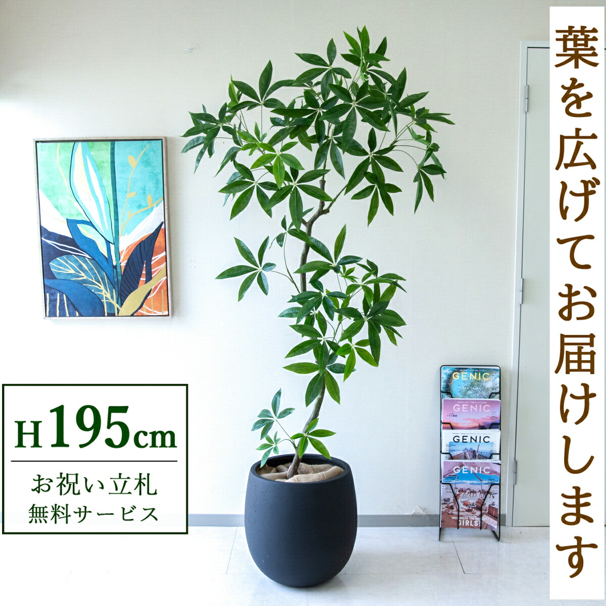 フェイクグリーン 観葉植物 人工観葉植物 パキラ 大型 195cm 鉢付き / 立札無料 送料無料 法人・開店祝い 店舗・オフィス装飾 空間演出 造花/PG263-BAL42BK