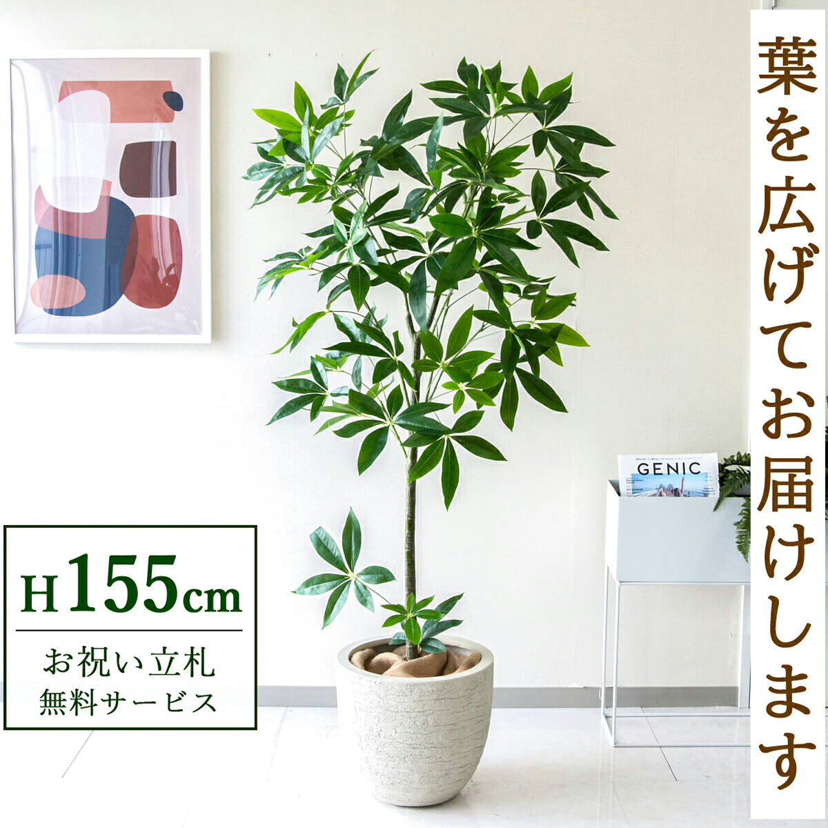 フェイクグリーン 観葉植物 人工観葉植物 パキラ 155cm 鉢付き / 立札無料 送料無料 法人・開店祝い 店舗・オフィス装飾 空間演出 造花/PG265-GIG33IV