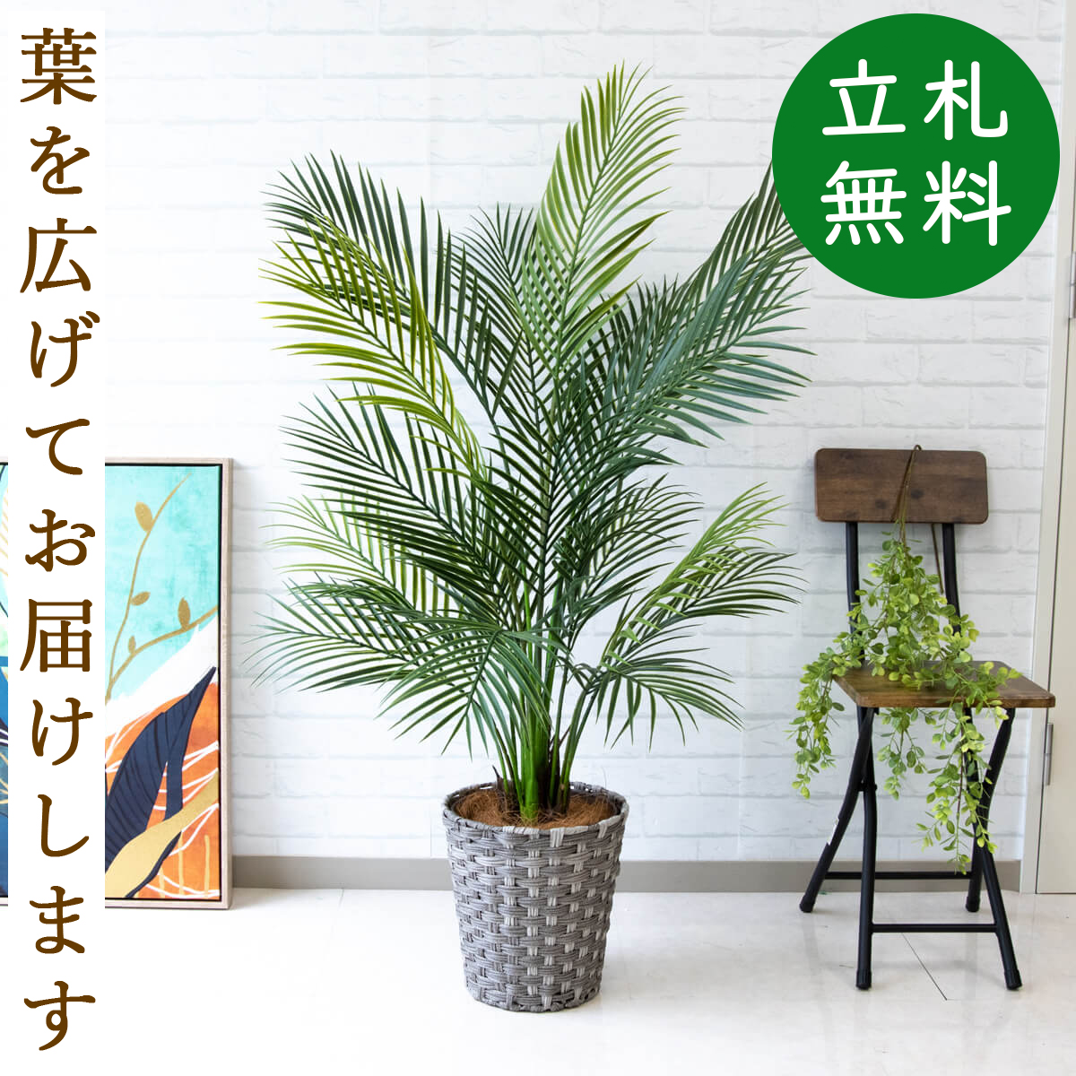 楽天市場】人工観葉植物 フェイクグリーン ユッカ H約155cm [お祝い