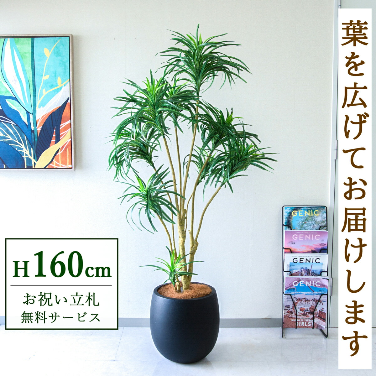 フェイクグリーン 観葉植物 人工観葉植物 ユッカツリー 160cm 鉢付き / ★立札無料★ 法人・開店祝い 店舗・オフィス装飾 空間演出 造花/PG271-BAL35BK