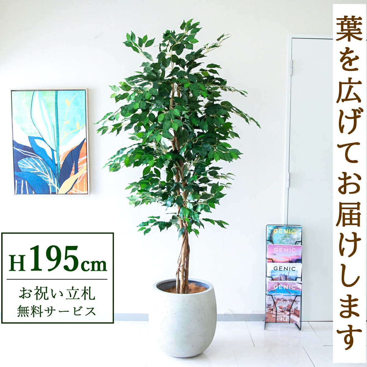 フェイクグリーン 観葉植物 人工観葉植物 フィカス ベンジャミン 大型 195cm 鉢付き / 立札無料 送料無料 法人・開店祝い 店舗・オフィス装飾 空間演出 造花/PG278-BAL42IV｜造花と人工観葉の店舗装飾 PP-SHOP