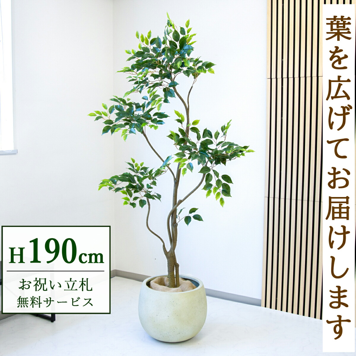 フェイクグリーン 観葉植物 人工観葉植物 フィカス ベンジャミン 大型 190cm 鉢付き / 立札無料 送料無料 法人・開店祝い 店舗・オフィス装飾 空間演出 造花/PG284-D42IV 32,318円