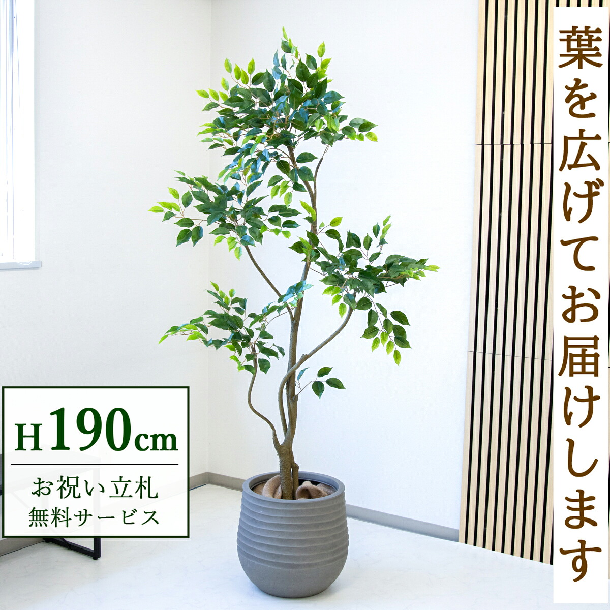 フェイクグリーン 観葉植物 人工観葉植物 フィカス ベンジャミン 大型 190cm 鉢付き / 立札無料 送料無料 法人・開店祝い 店舗・オフィス装飾 空間演出 造花/PG284-J40｜造花と人工観葉の店舗装飾 PP-SHOP