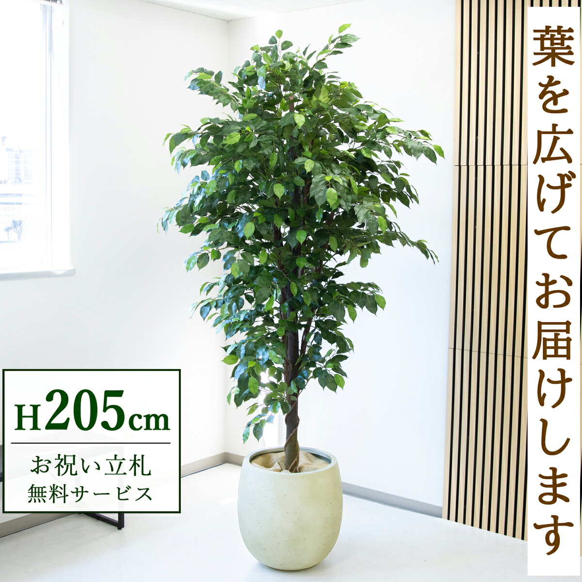 フェイクグリーン 観葉植物 人工観葉植物 フィカス ベンジャミン 大型 205cm 鉢付き / 立札無料 送料無料 法人・開店祝い 店舗・オフィス装飾 空間演出 造花/PG285-BAL42IV|造花と人工観葉の店舗装飾 PP-SHOP