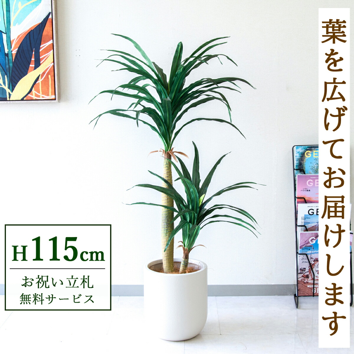 フェイクグリーン 観葉植物 人工観葉植物 ドラセナコンシナ 115cm 鉢付き / 立札無料 送料無料 法人・開店祝い 店舗・オフィス装飾 空間演出 造花/PG014-CHC25IV 16,768円