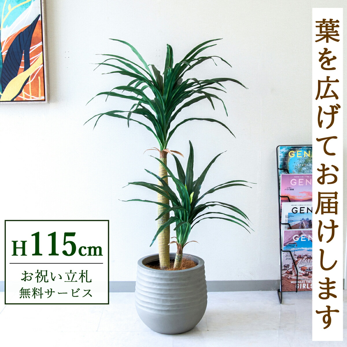 フェイクグリーン 観葉植物 人工観葉植物 ドラセナコンシナ 115cm 鉢付き / 立札無料 送料無料 法人・開店祝い 店舗・オフィス装飾 空間演出 造花/PG014-J30
