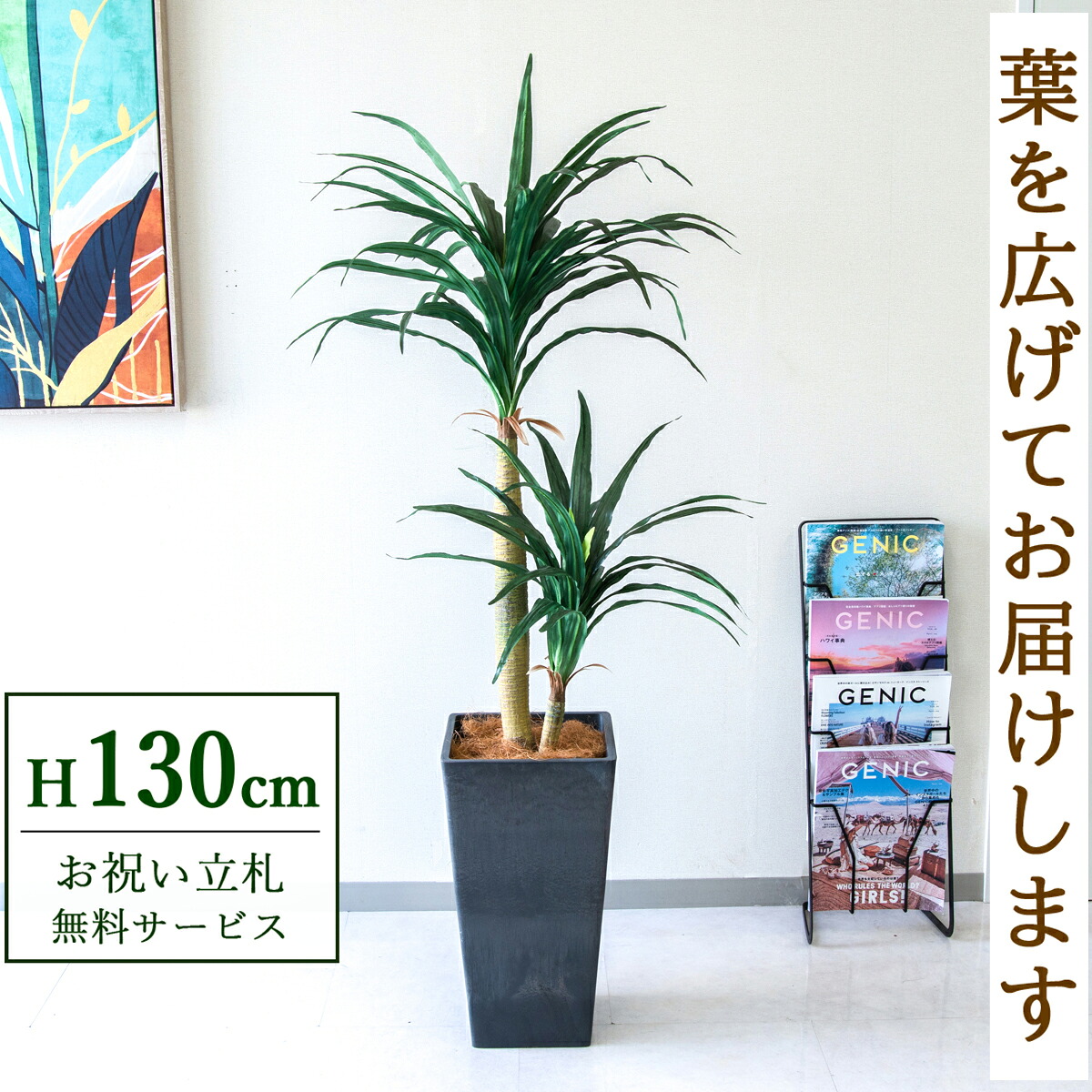 フェイクグリーン 観葉植物 人工観葉植物 ドラセナコンシナ 130cm 鉢付き / 立札無料 送料無料 法人・開店祝い 店舗・オフィス装飾 空間演出 造花/PG014-Q25BK