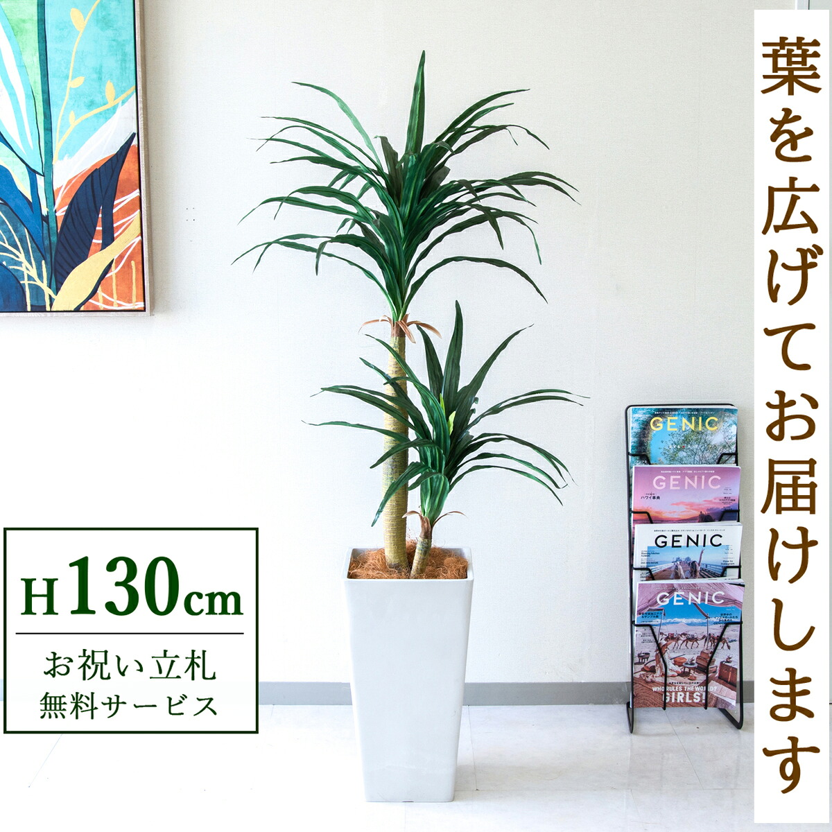 フェイクグリーン 観葉植物 人工観葉植物 ドラセナコンシナ 130cm 鉢付き / 立札無料 送料無料 法人・開店祝い 店舗・オフィス装飾 空間演出 造花/PG014-Q25WH