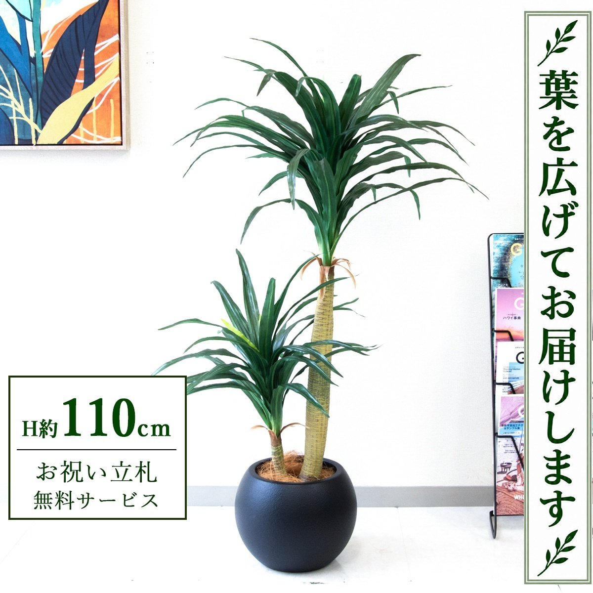 フェイクグリーン 観葉植物 人工観葉植物 ドラセナコンシナ 110cm 鉢付き / 立札無料 送料無料 法人・開店祝い 店舗・オフィス装飾 空間演出 造花/PG014-ROM27BK