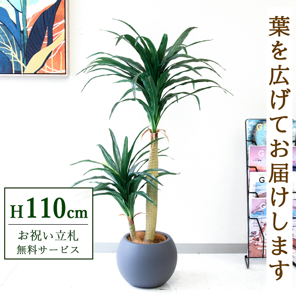 フェイクグリーン 観葉植物 人工観葉植物 ドラセナコンシナ 110cm 鉢付き / 立札無料 送料無料 法人・開店祝い 店舗・オフィス装飾 空間演出 造花/PG014-ROM27GY|造花と人工観葉の店舗装飾 PP-SHOP