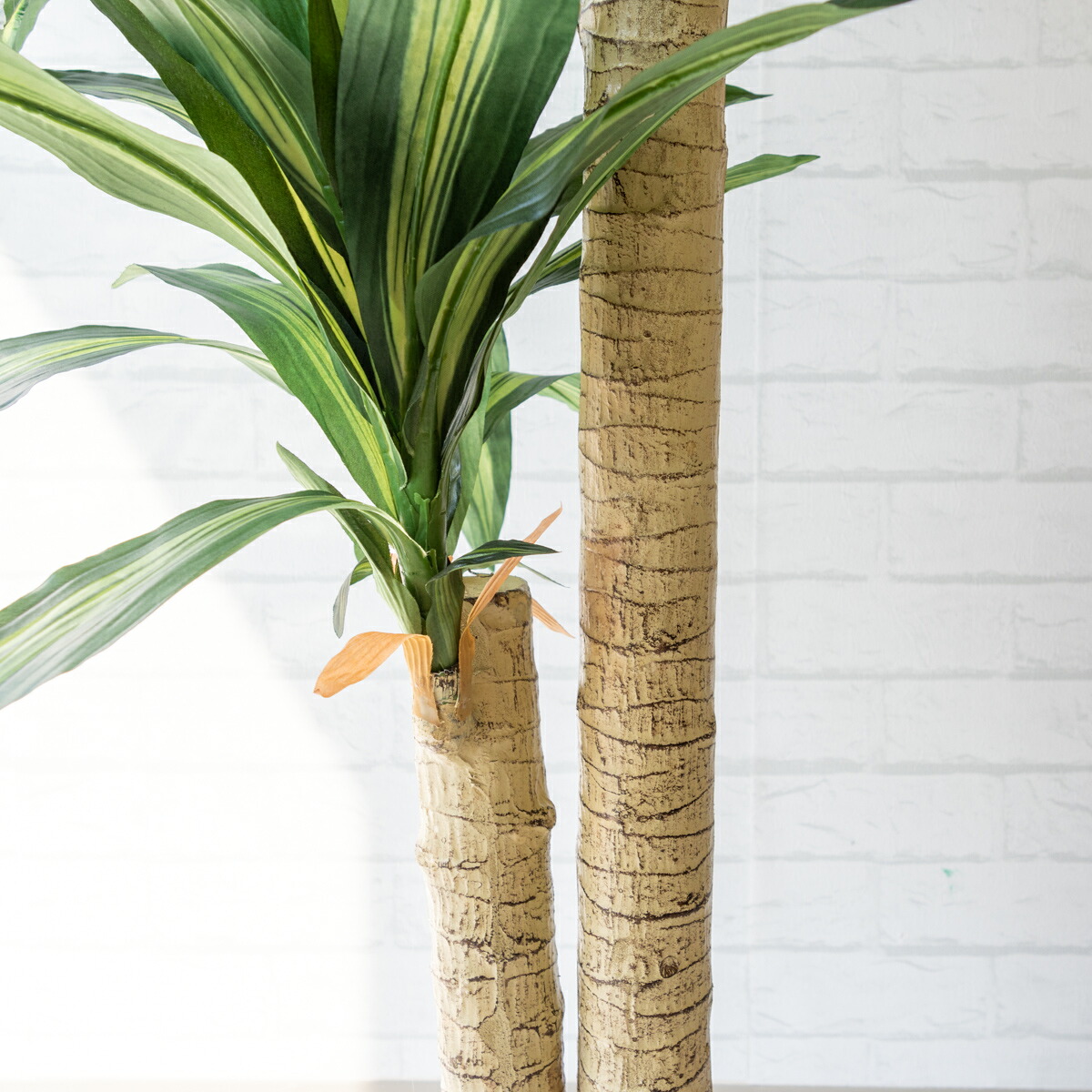 楽天市場 人工観葉植物 フェイクグリーン マッサン 幸福の木 H約125cm お祝い立札無料 観葉植物 フェイク おしゃれ アーティフィシャルグリーン 観葉樹木 人工樹木 インテリア フロアサイズ 住宅展示場 店舗装飾 Pg016 65gr マッサン 幸福の木 H約125cm