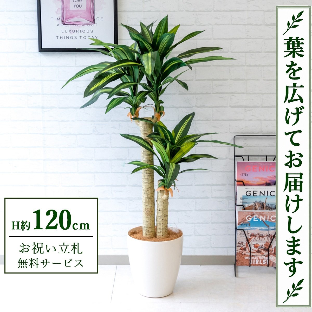 フェイクグリーン 観葉植物 人工観葉植物 幸福の木 ドラセナ マッサンゲアナ 120cm 鉢付き / 立札無料 送料無料 法人・開店祝い 店舗・オフィス装飾 空間演出 造花/PG016-A265WH 14,399円