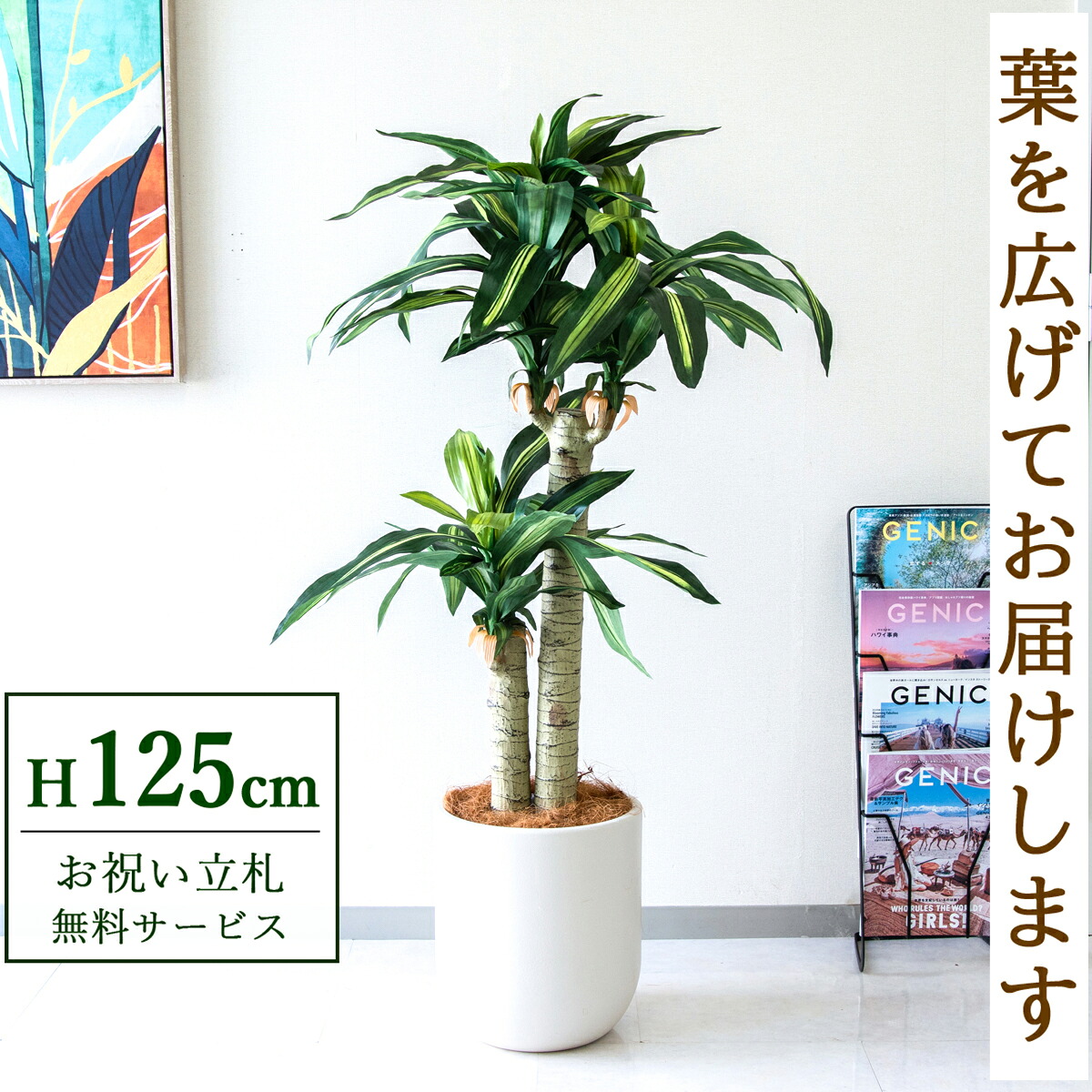 フェイクグリーン 観葉植物 人工観葉植物 幸福の木 ドラセナ マッサンゲアナ 125cm 鉢付き / 立札無料 送料無料 法人・開店祝い 店舗・オフィス装飾 空間演出 造花/PG016-CHC29IV
