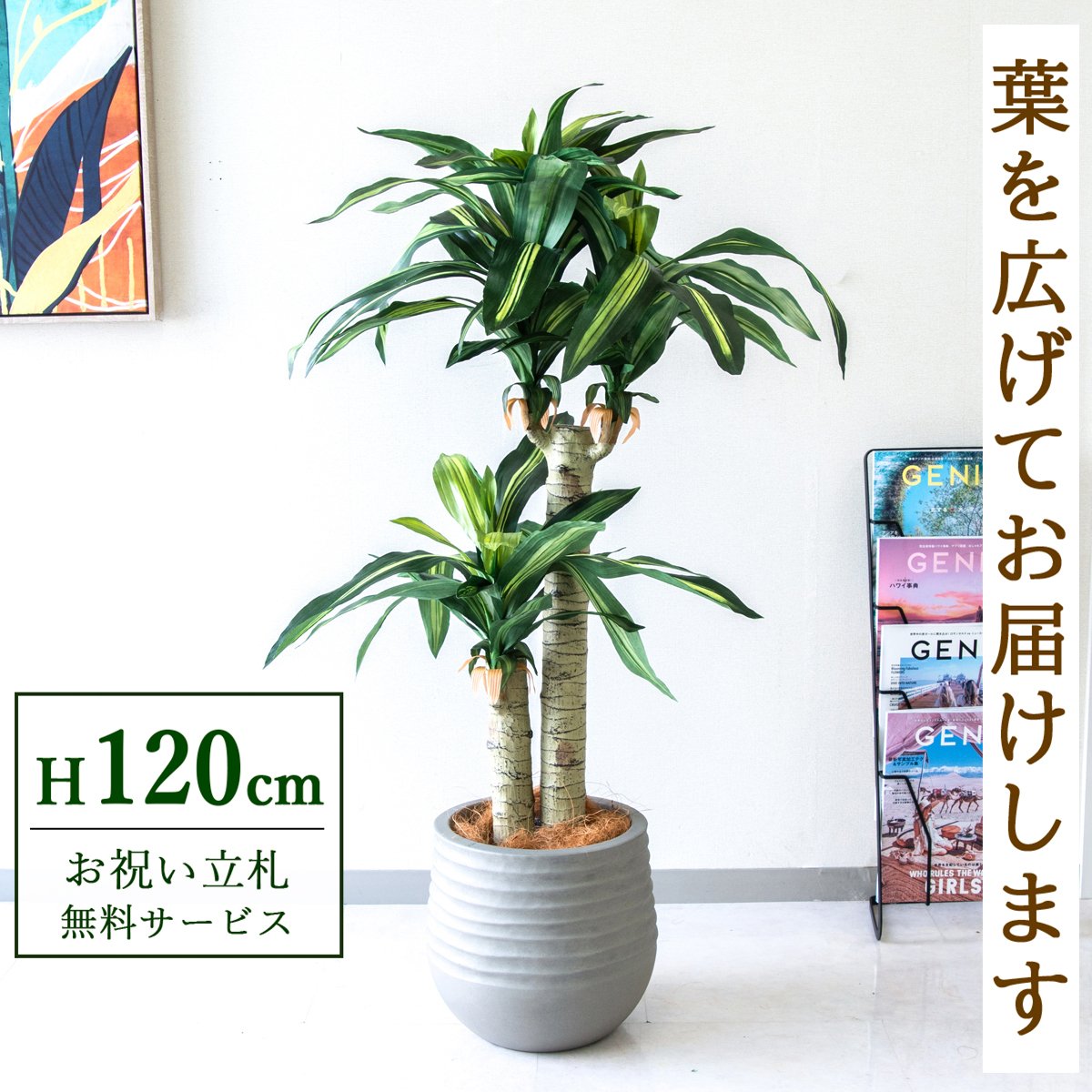 フェイクグリーン 観葉植物 人工観葉植物 幸福の木 ドラセナ マッサンゲアナ 120cm 鉢付き / 立札無料 送料無料 法人・開店祝い 店舗・オフィス装飾 空間演出 造花/PG016-J30｜造花と人工観葉の店舗装飾 PP-SHOP