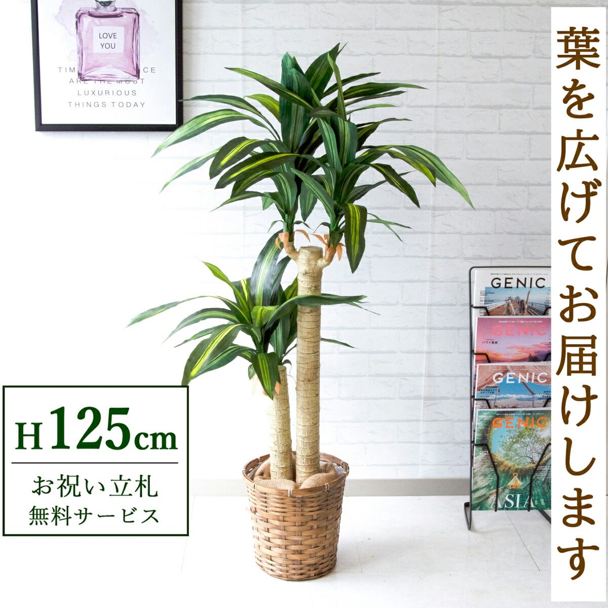 人工観葉草木 贋グリーン マッサン 幸いの天然木 Hほぼ125cm 祝賀会立札無料 観葉植物 フェイク 瀟洒 アーティフィシャルグリーン 観葉木 人工樹木 具足 宗徒号 建造祝い 邸提示処 まとめ買い Pg016 S24 マッサン 幸福の木 H約125cm バンブー野晒 Newbyresnursery Com