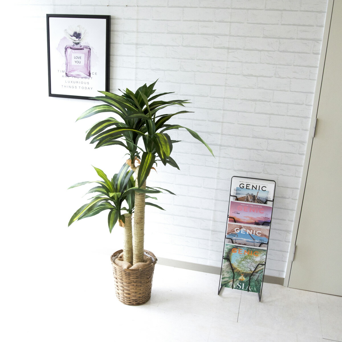 人工観葉草木 贋グリーン マッサン 幸いの天然木 Hほぼ125cm 祝賀会立札無料 観葉植物 フェイク 瀟洒 アーティフィシャルグリーン 観葉木 人工樹木 具足 宗徒号 建造祝い 邸提示処 まとめ買い Pg016 S24 マッサン 幸福の木 H約125cm バンブー野晒 Newbyresnursery Com