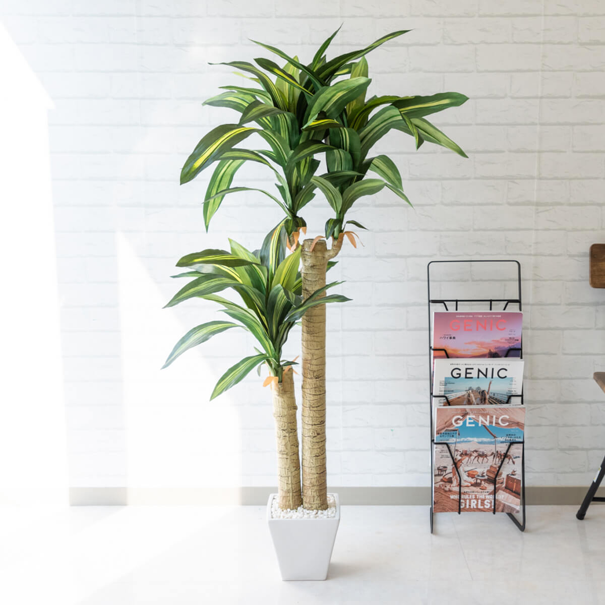 Shop R10s Jp 0101pp Shop Cabinet Pg Pg016 1 Jpg