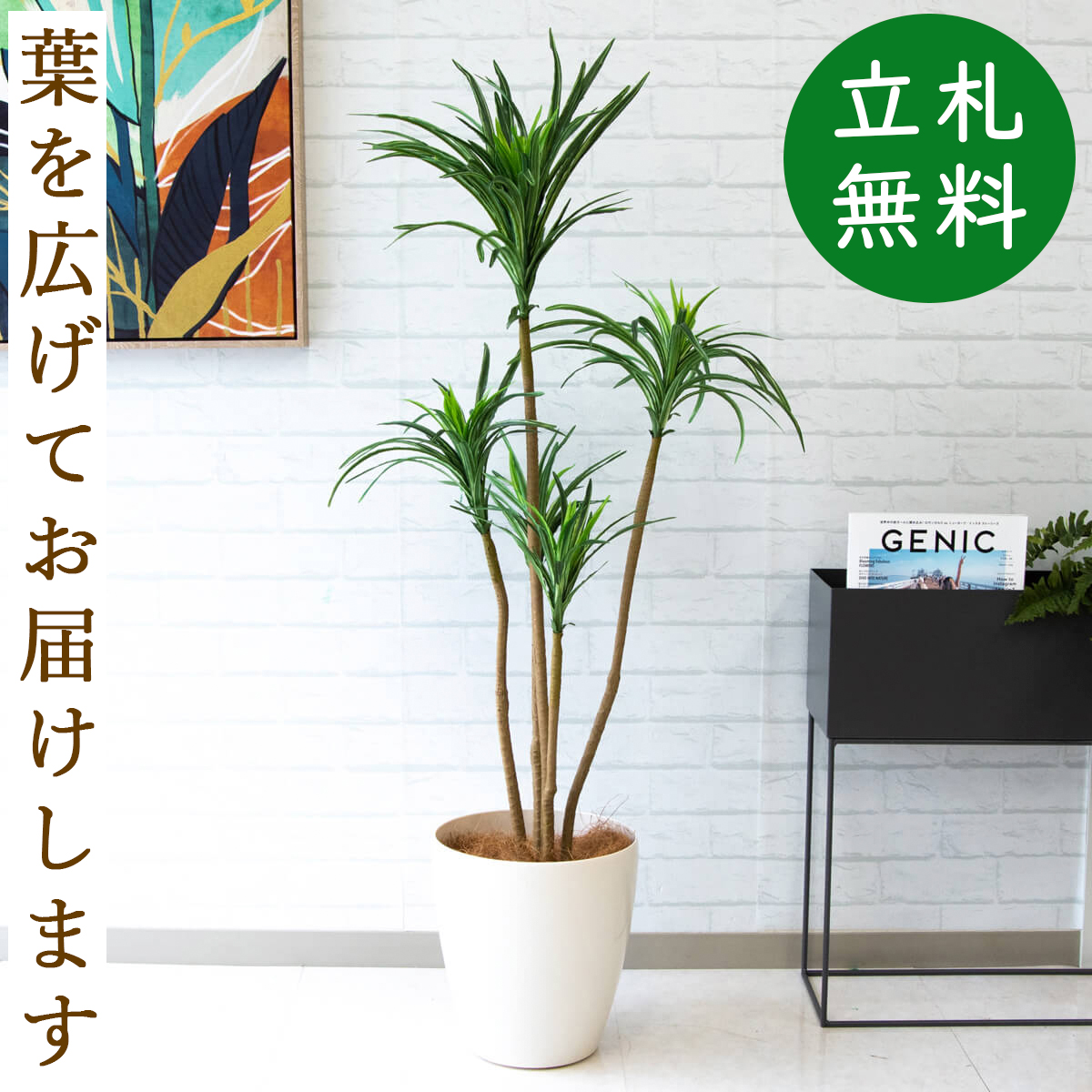 楽天市場】人工観葉植物 フェイクグリーン ベンジャミンバロックポット