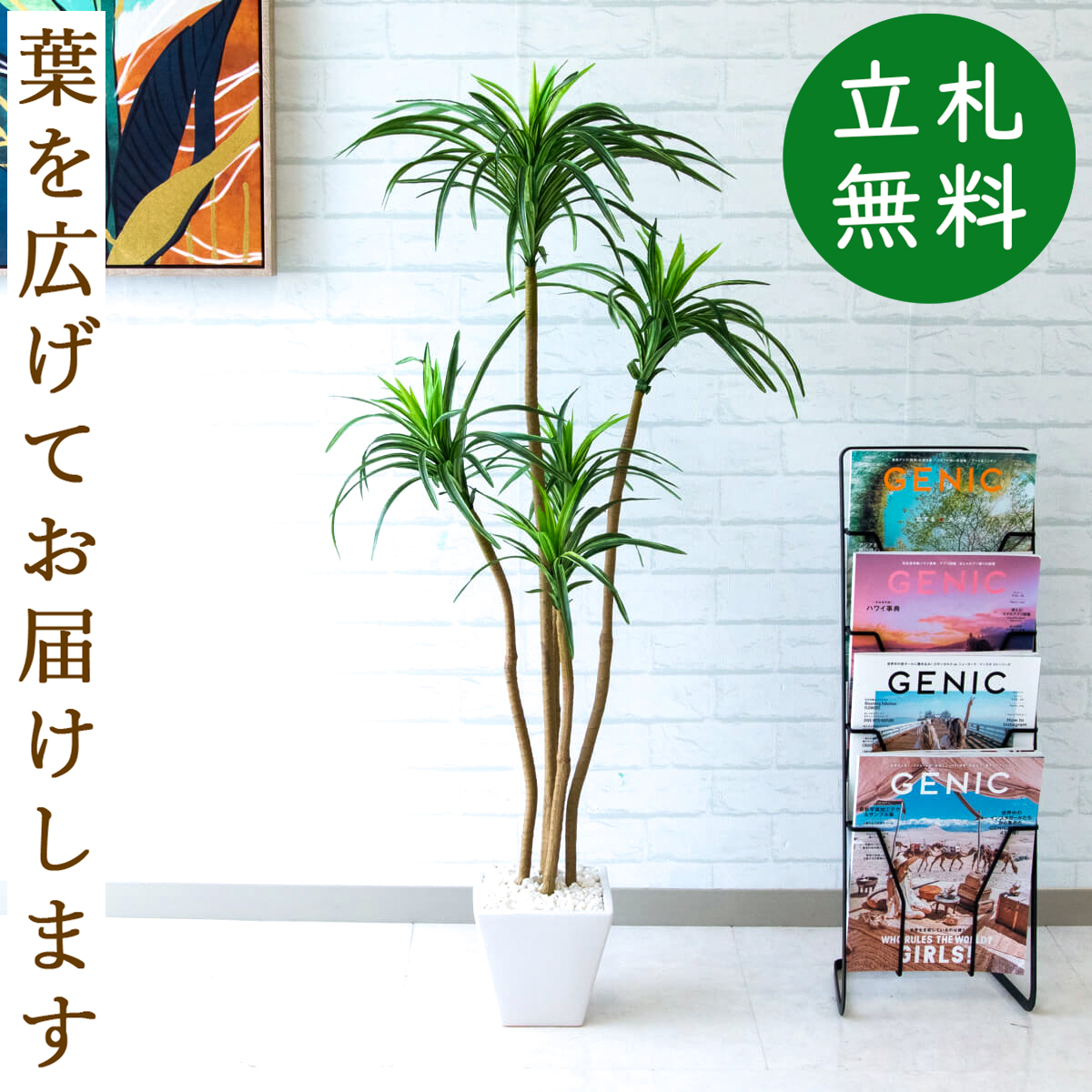 楽天市場 人工観葉植物 フェイクグリーン ユッカ H1cm お祝い立札無料 観葉植物 フェイク おしゃれ アーティフィシャルグリーン 観葉樹木 人工樹木 インテリア フロアサイズ 新築祝い 住宅展示場 オフィス 開業祝い まとめ買い Pg013 ユッカ H1cm Gla 1198