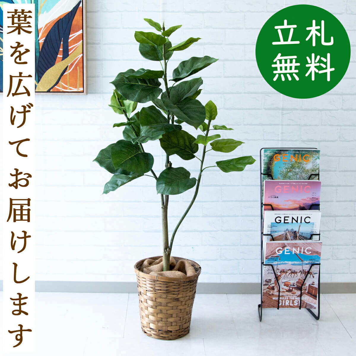 人工観葉植物 フェイクグリーン ウンベラータ H約1cm お祝い立札無料 観葉植物 フェイク おしゃれ アーティフィシャルグリーン 観葉樹木 人工樹木 インテリア 新築祝い 住宅展示場 オフィス 開業祝い 驚きの値段