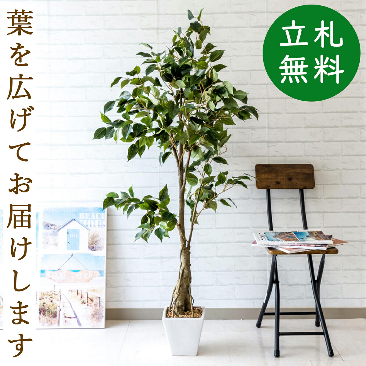 楽天市場 人工観葉植物 フェイクグリーン クラシックフィカス H約140cm お祝い立札無料 観葉植物 おしゃれ アーティフィシャルグリーン 観葉樹木グリーン 人工樹木 インテリア フロアサイズ 住宅展示場 開業祝い Pg080 クラシックフィカス H約140cm 陶器鉢 0101pp