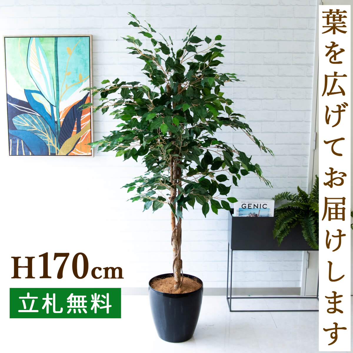 楽天市場】人工観葉植物 フェイクグリーン トネリコツリー H約170cm