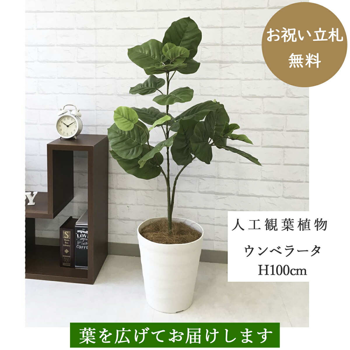 楽天市場 人工観葉植物 フェイクグリーン ウンベラータ H約100cm お祝い立札無料 観葉植物 フェイク おしゃれ アーティフィシャルグリーン 観葉樹木 人工樹木 インテリア フロアサイズ 新築祝い 住宅展示場 オフィス 開業祝い Pg094 ウンベラータ H約100cm