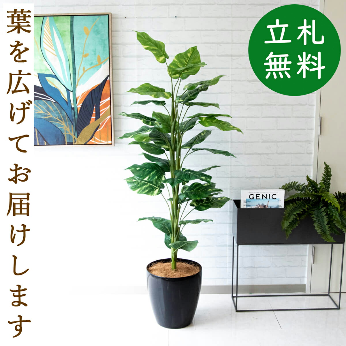 人工観葉植物 フェイクグリーン ポトス H約150cm お祝い立札無料 観葉植物 おしゃれ アーティフィシャルグリーン 観葉樹木グリーン 人工樹木 インテリア 新築祝い 住宅展示場 開業祝い 店舗装飾 まとめ買い Pg100 A300bk ポトス H約150cm ポリプロピレン鉢 Edpa Gov Sy